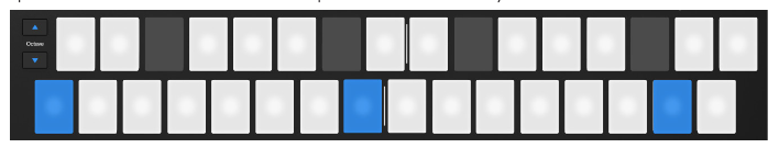 Keysレイアウトのパッド表示